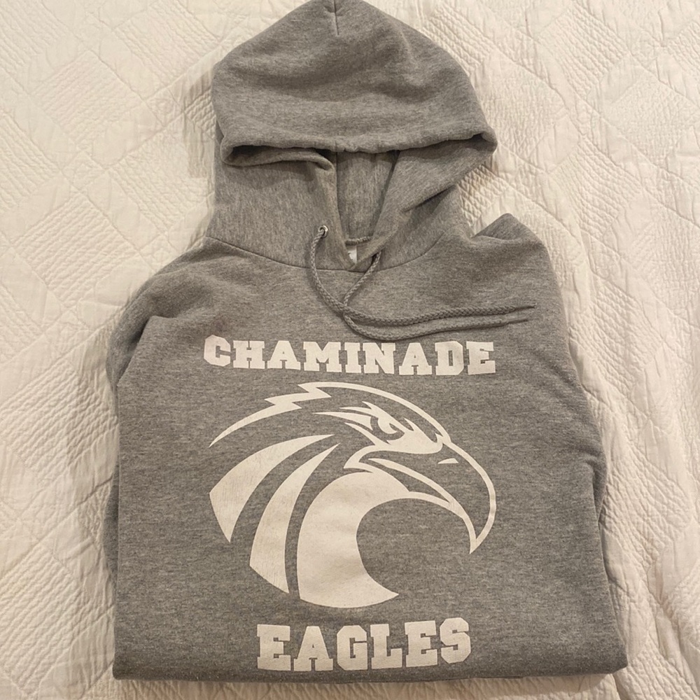 Gray Sweatshirt